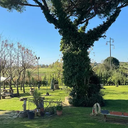 Con Ampio Giardino Recintato - Pet Friendly Braccagni