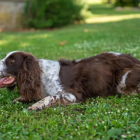 Podere Pala - Pet Friendly 아파트